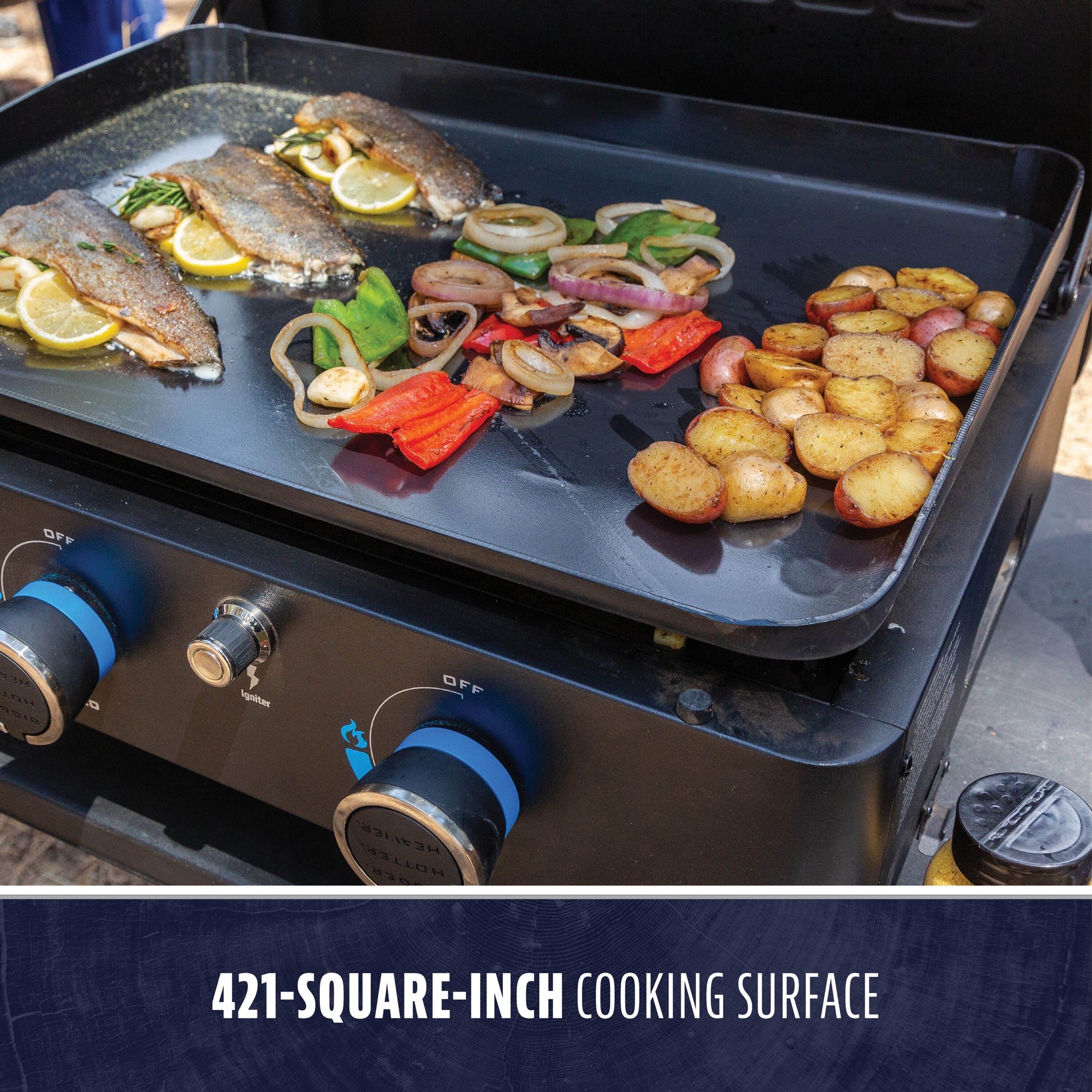 Ultimate 23" 2 -Burner Liquid Propane Flat Top Grill